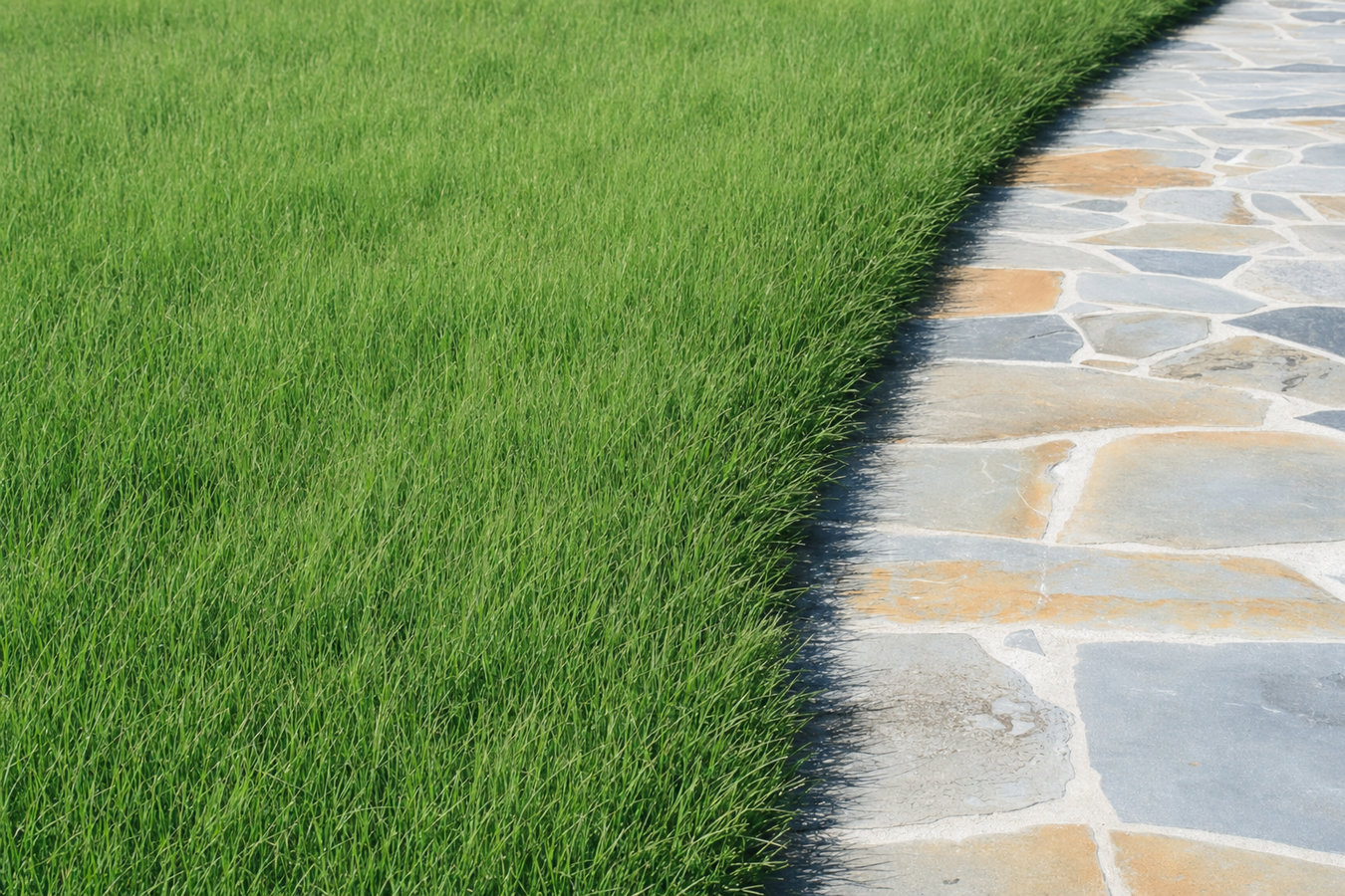 Drought-tolerant turf in San Pablo, CA